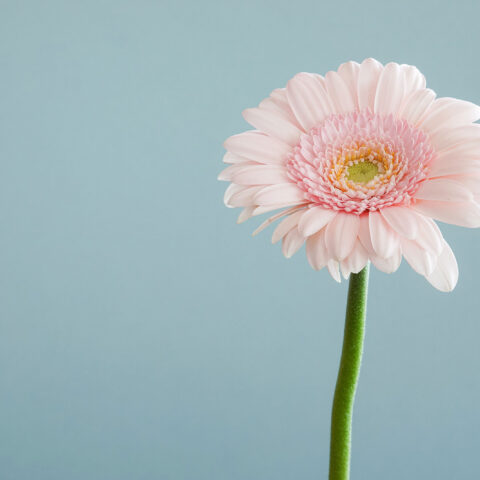 blog-6