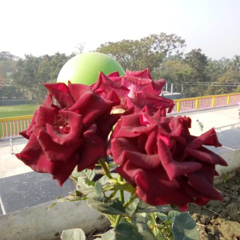 WhatsApp Image 2025-04-21 at 4.39.58 PM